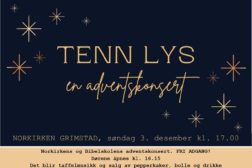 Tenn Lys