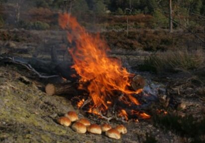 SPRELL gjenoppstår