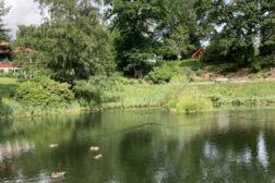 Sommertreff på Dømmesmoen