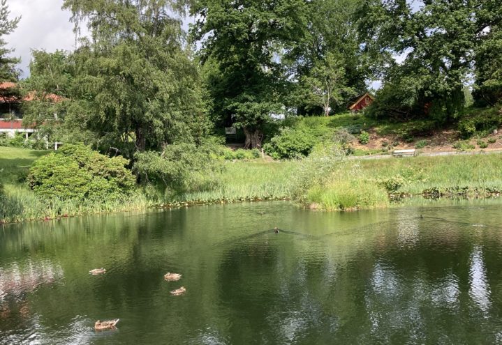 Sommertreff på Dømmesmoen