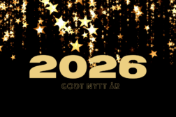 NYTTÅRSFEST FOR UNGDOM