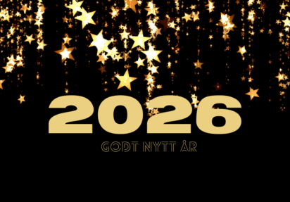 NYTTÅRSFEST FOR UNGDOM