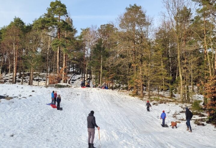 SPRELL-samling 19. jan. kl. 17